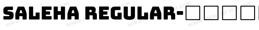 Saleha Regular字体转换
